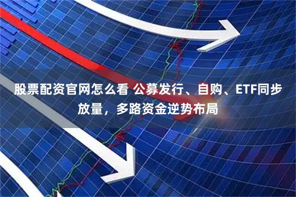 股票配资官网怎么看 公募发行、自购、ETF同步放量，多路资金逆势布局