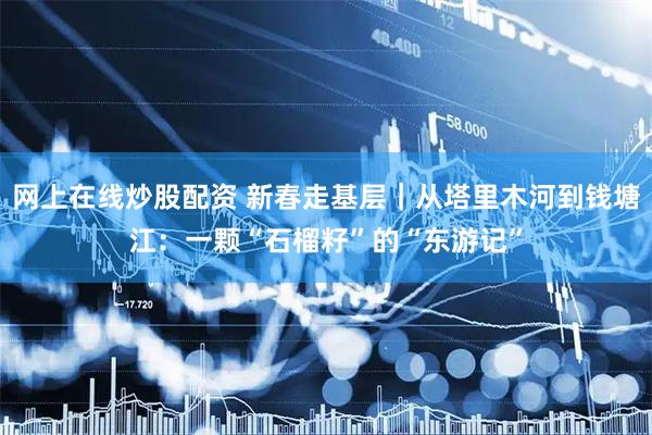 网上在线炒股配资 新春走基层|从塔里木河到钱塘江:一颗“石榴籽”的“东游记”